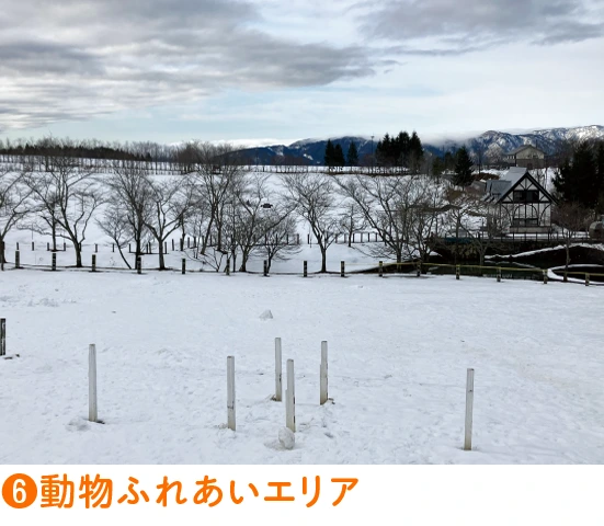 ➏動物ふれあいエリア